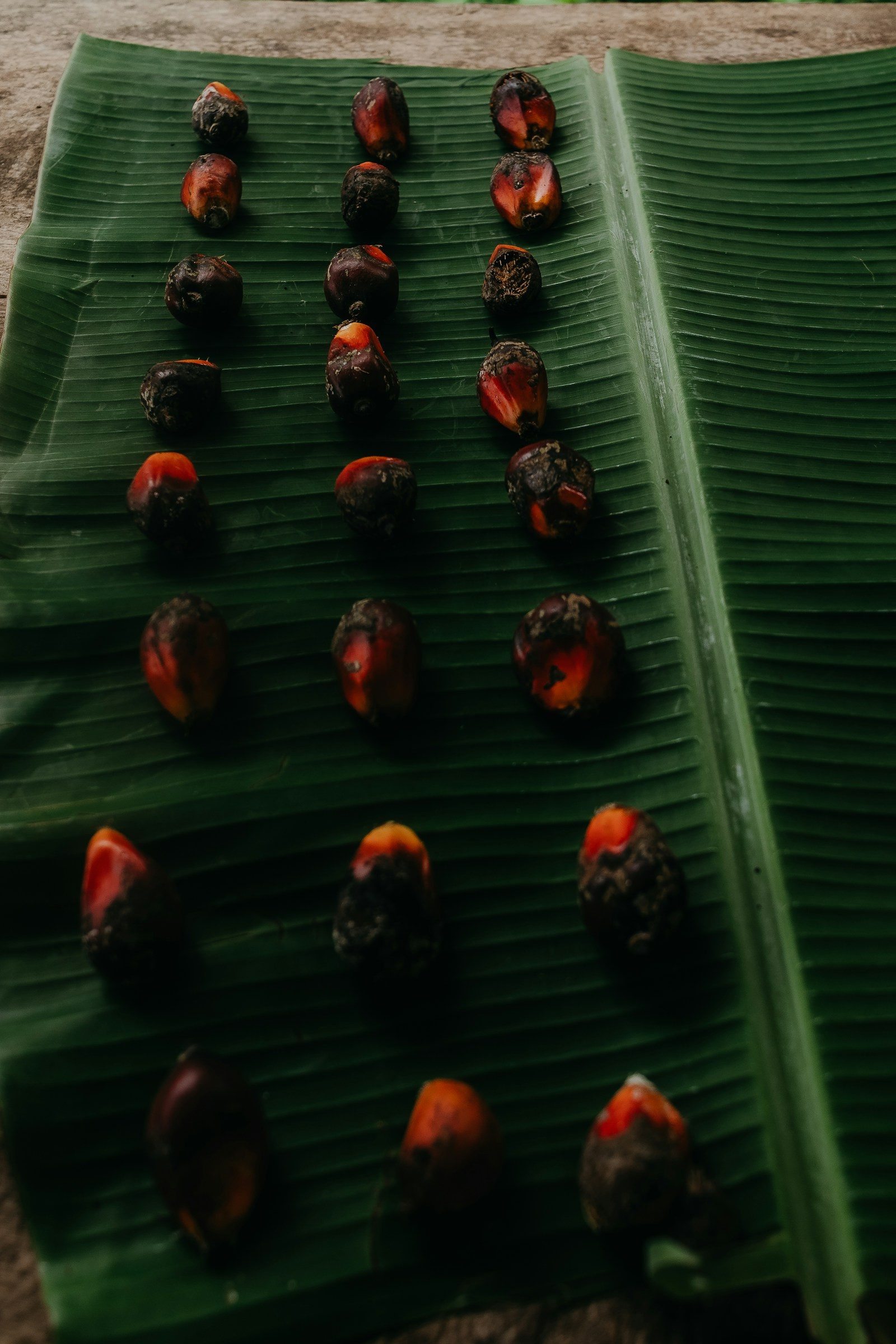 red and black palm fruits laid out in rows on a green banana leaf